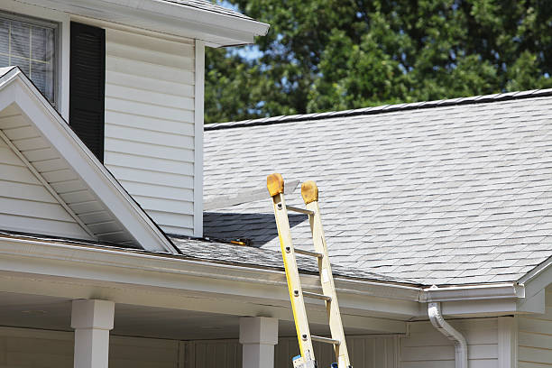 Best Historical Building Siding Restoration  in Albany, MN